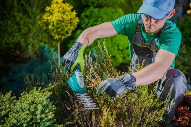 landscaping services Staatsburg